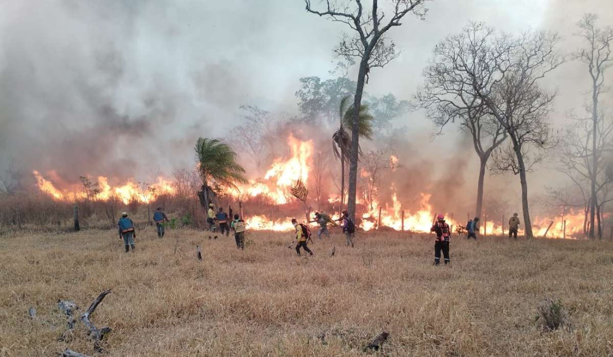 Tribunal Agroambiental admite demanda contra incendios forestales y ratifica pausa ambiental