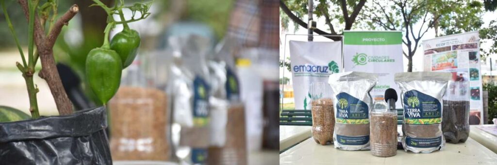 Así avanza la producción de verduras y abono a partir del reciclaje de residuos orgánicos.