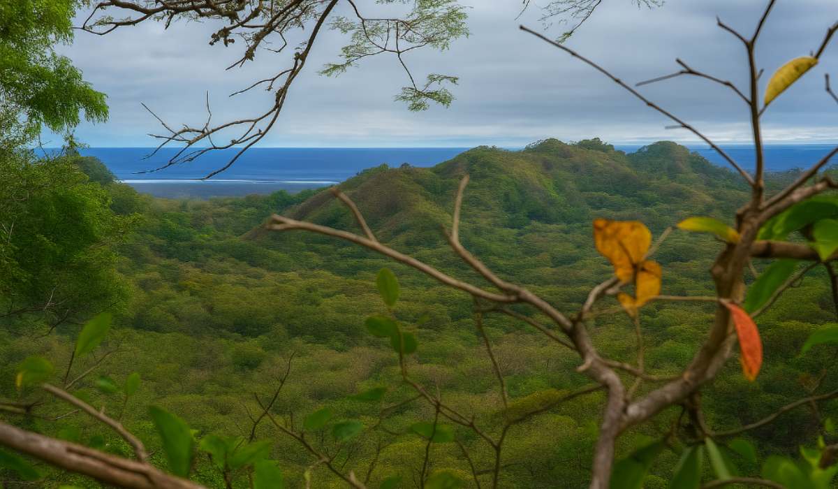 Cuenta regresiva en Charagua Iyambae: hay una votación para elegir sus 10 maravillas naturales