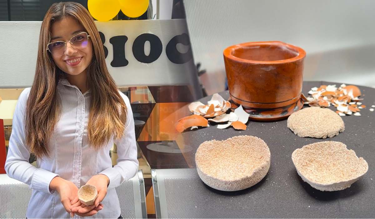 Estudiantes producen biocerámica a partir de cáscaras de huevo