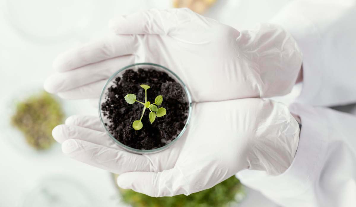 BIGSUR: la apuesta por la bioinnovación desde el Sur Global