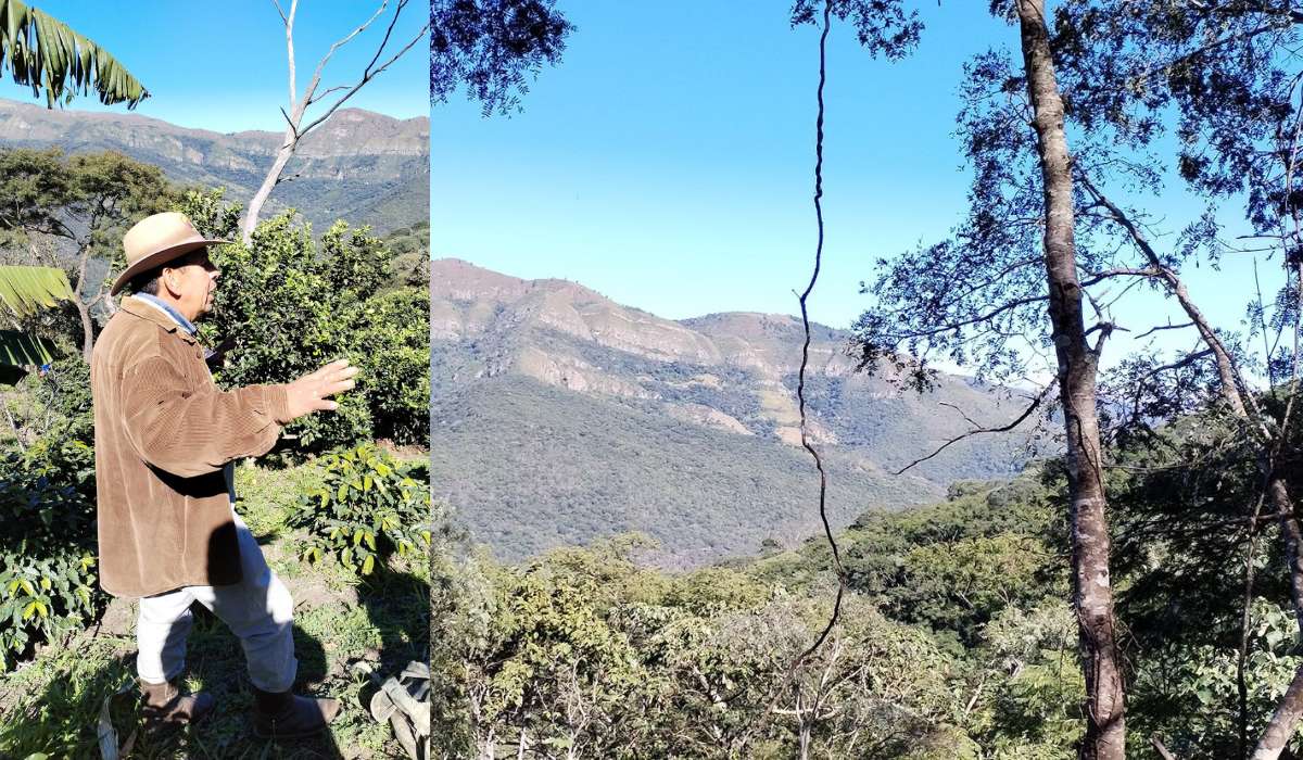 Turismo, café, gastronomía y ciudades intermedias