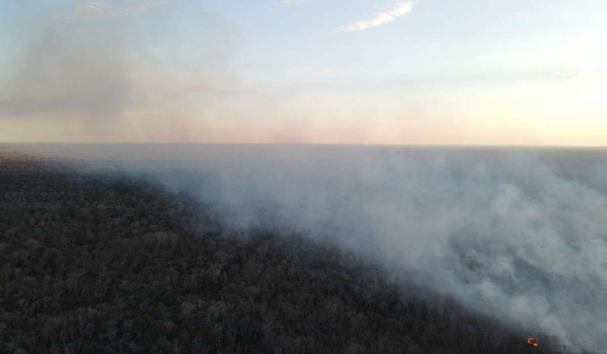 Tribunal Agroambiental deja sin efecto “pausa ambiental” dictada ante riesgo de incendios forestales