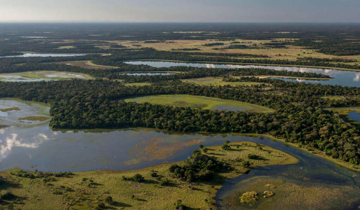 PantaNow: Bolivia, Brasil y Paraguay unen esfuerzos para proteger el Pantanal