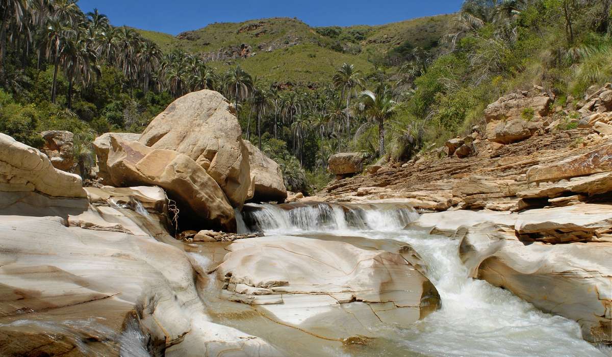 Meta 30 x 30: impulsarán la preservación del 30% de ecosistemas y áreas protegidas hasta 2030