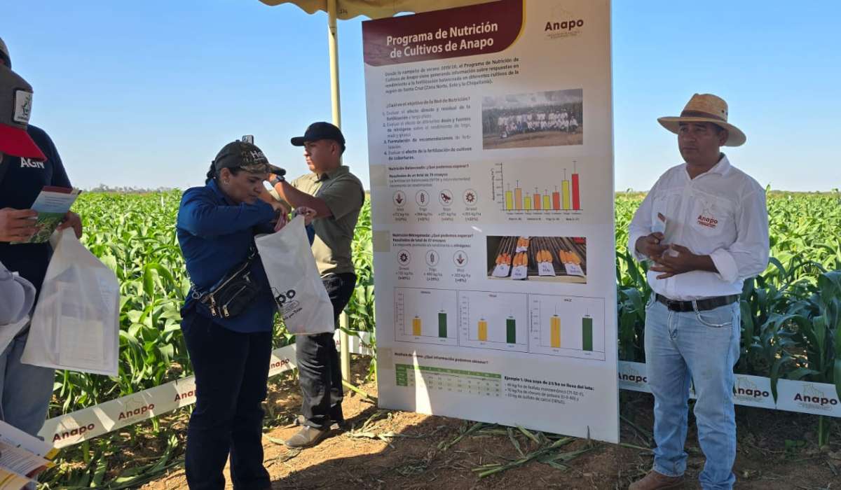 Rotación de cultivos, la base para impulsar la agricultura sostenible en el sector soyero