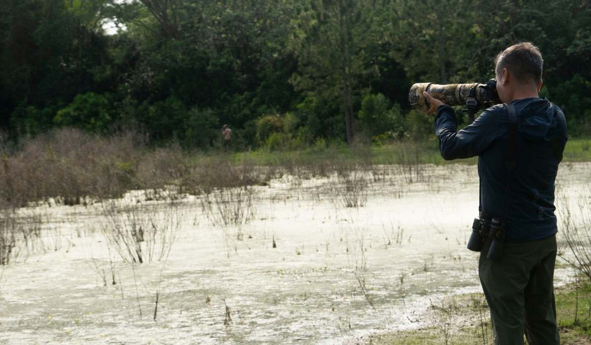 Bolivia, un destino privilegiado para la avifauna, albergará la XIV Feria de Aves de Sudamérica