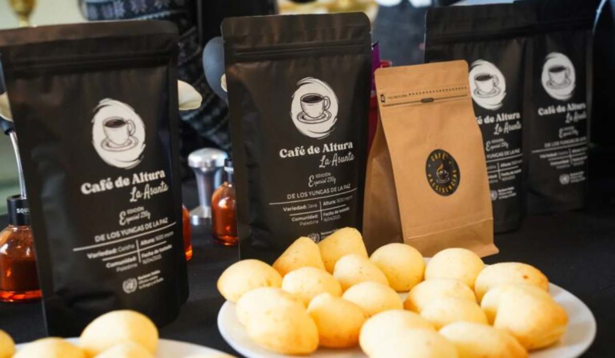 Más de 250 muestras compiten en el XI Torneo Nacional “Café Presidencial del Bicentenario”