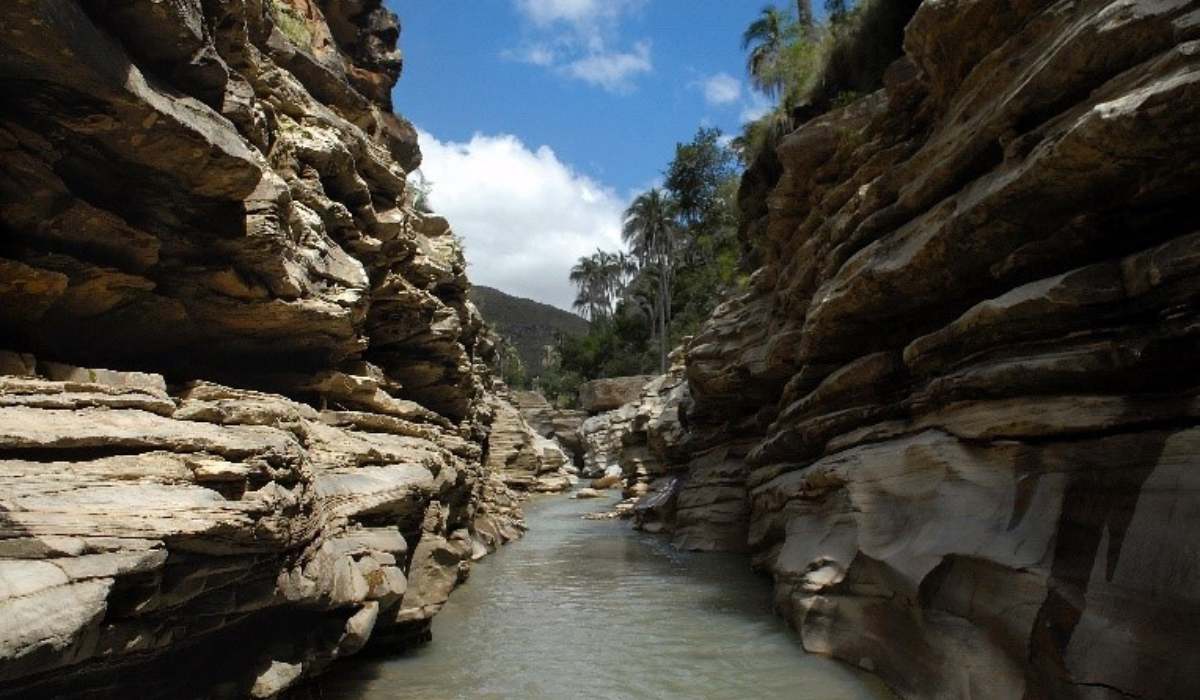  En sus 200 años, cien investigadores reflexionarán sobre Bolivia y sus recursos naturales