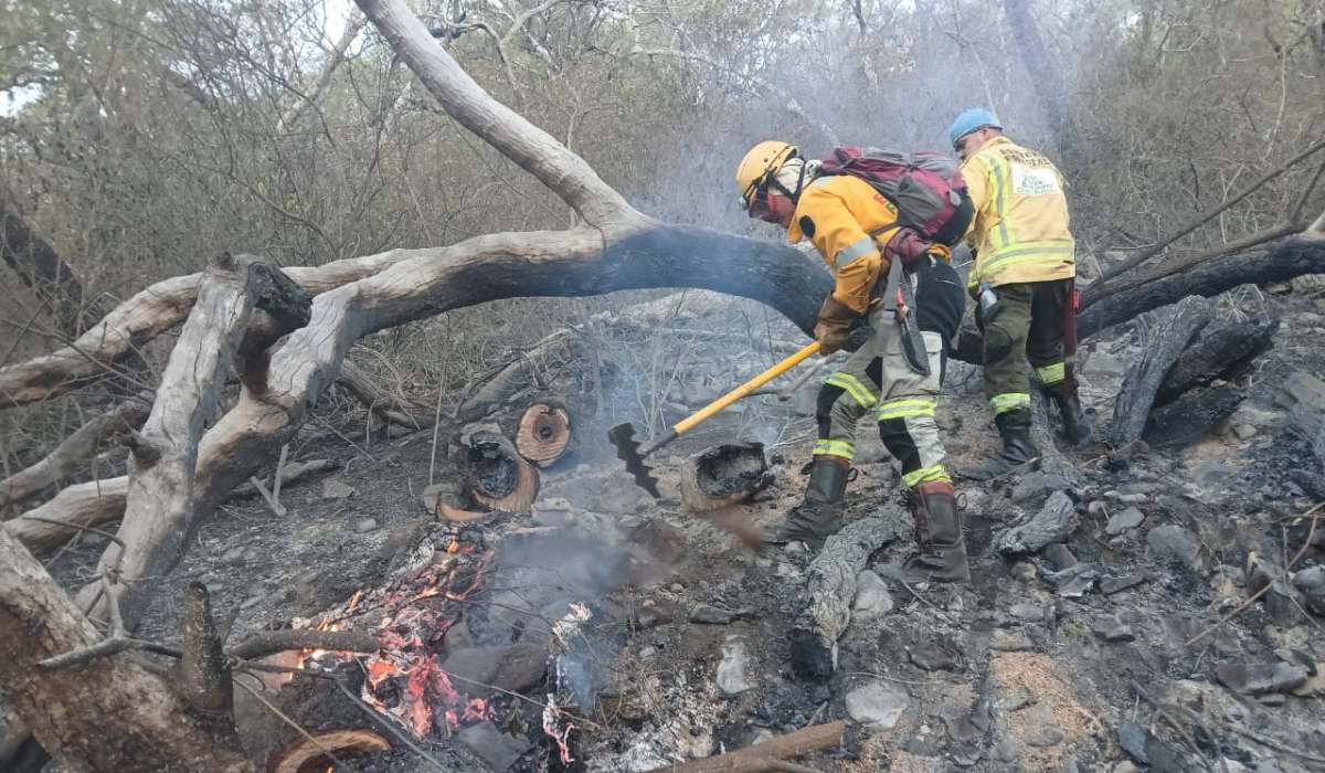 Profesionales y colectivos ambientales exigen al Estado cumplir normas frente a los incendios