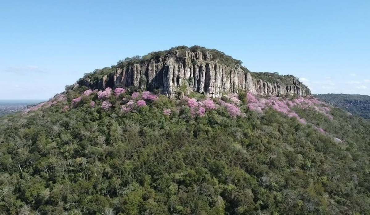 Monte Carmelo, la nueva área protegida municipal y hábitat del jaguar, que nació en medio de los incendios