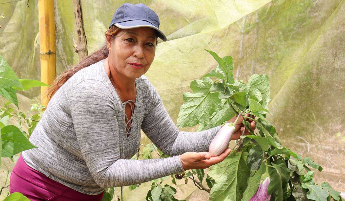 Huertos de autonomía: mujeres que siembran futuro