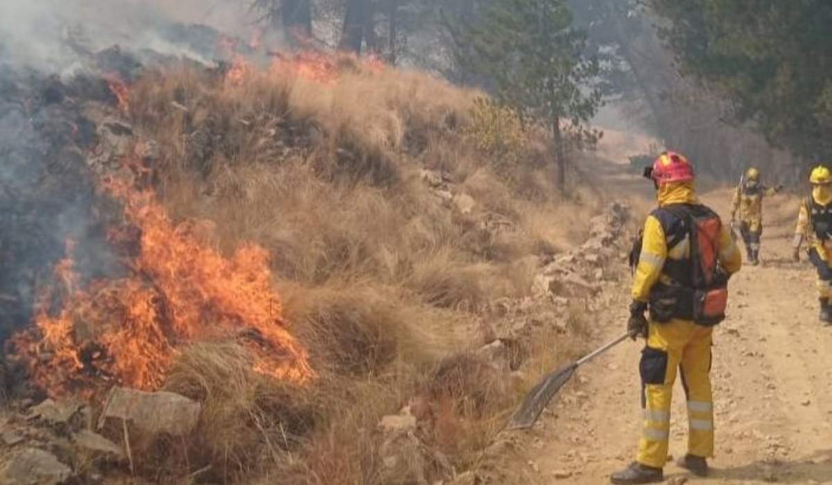 Gobierno declara emergencia nacional ante los incendios forestales