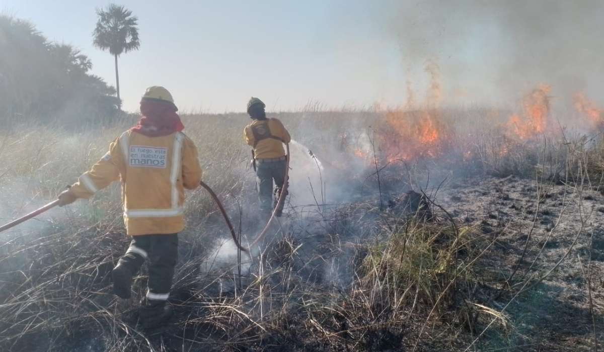 El Tribunal Agroambiental reinstala histórica audiencia para frenar los incendios en Bolivia