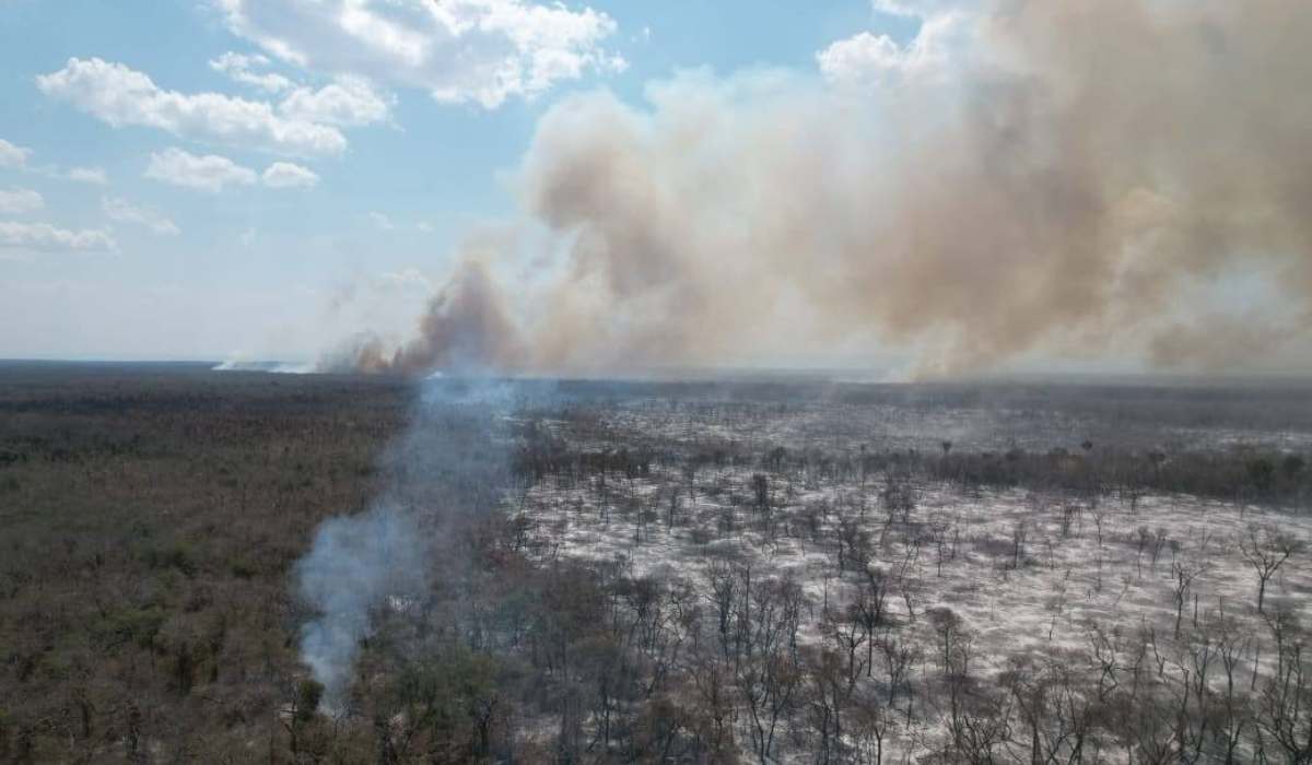 Piden declarar desastre departamental y nacional ante incendios en Ñembi Guasu y ANMI San Matías