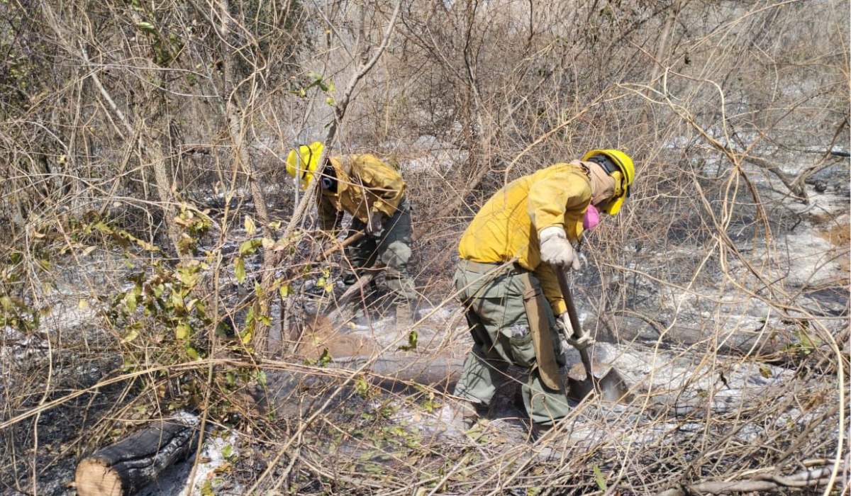 El fuego sigue afectando a territorios indígenas: más de 7.800 focos de calor en lo que va de 2025
