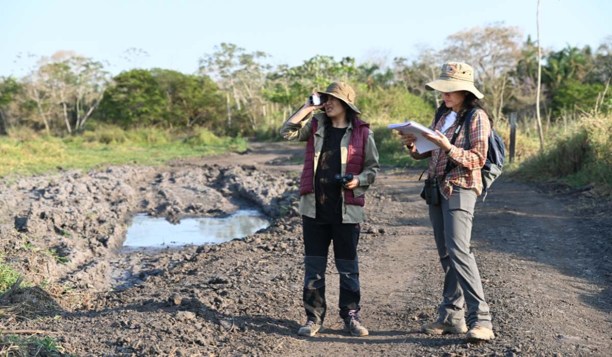 Arranca el segundo censo de la Paraba Barba Azul en los Llanos de Moxos
