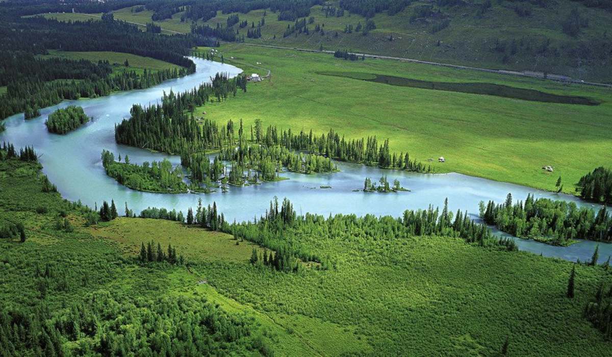 Los incendios forestales frenan el impacto de la reducción de emisiones en otras regiones