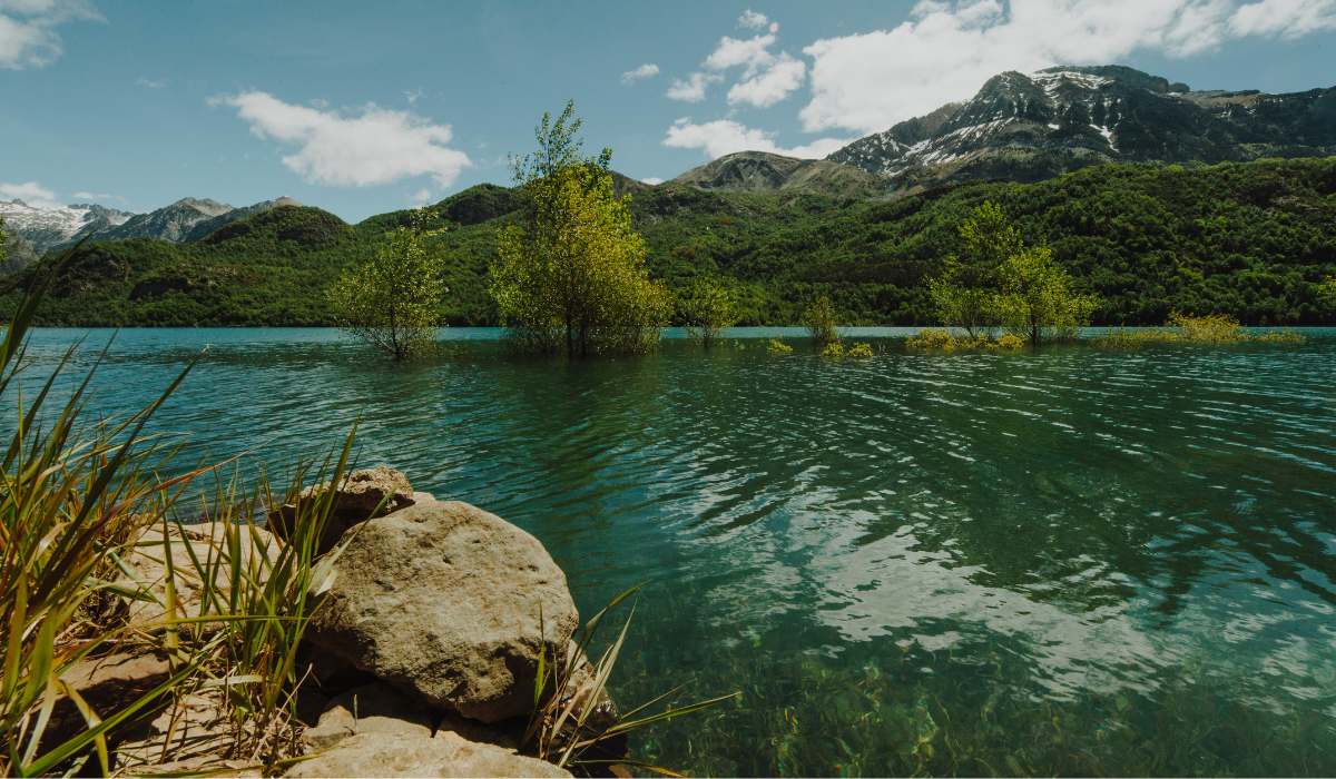 Banco Mundial: proteger la naturaleza impulsa el crecimiento y el empleo