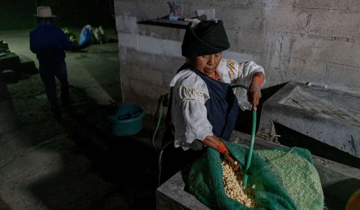 La humanidad necesita construir sistemas alimentarios sostenibles