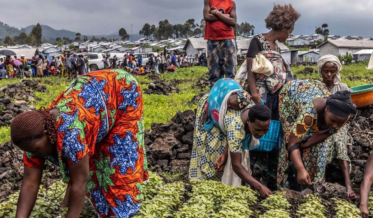 673 millones de personas sufren hambre: el impacto de las guerras, el alza de los precios y el cambio climático