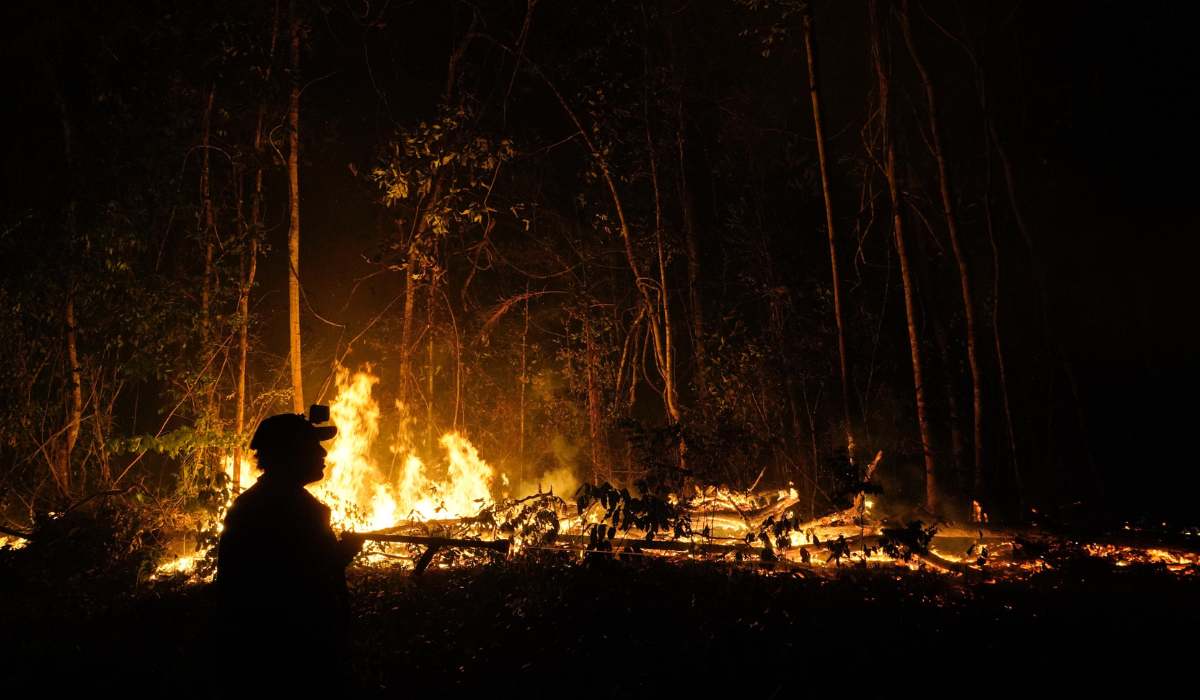 Las fuerzas se agotan en Porvenir, mientras el fuego amenaza el plan de manejo del asaí
