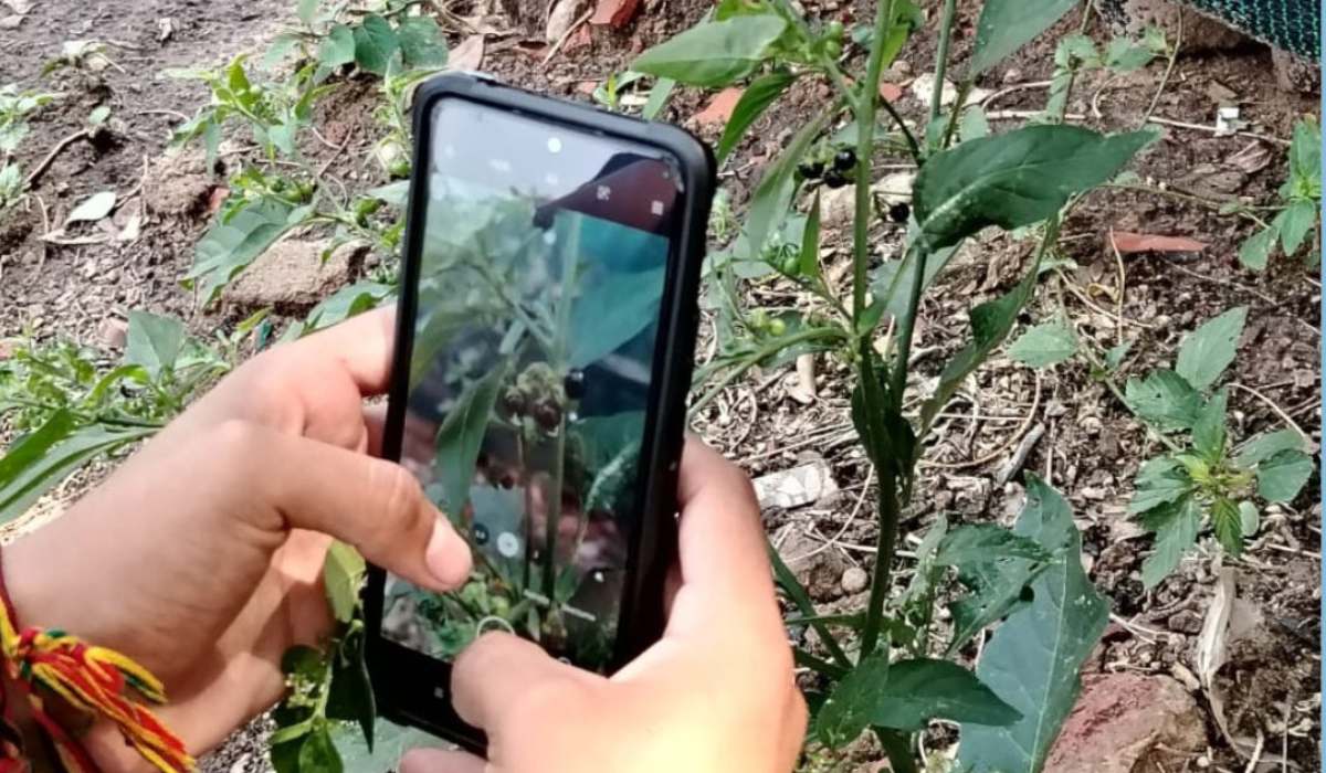 La Gran BioBúsqueda del Sur 2025 está en marcha en Santa Cruz