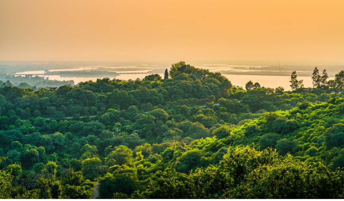 Medir el impacto es clave para la sostenibilidad de servicios ecosistémicos en Bolivia
