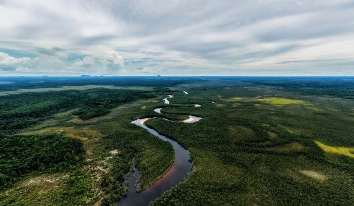 CAF destinará USD 40.000 millones para impulsar el crecimiento verde