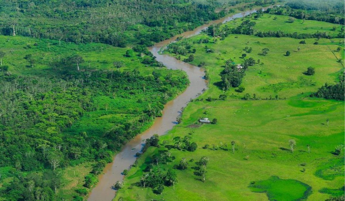 Brasil lidera un fondo para compensar a los países que protejan sus bosques