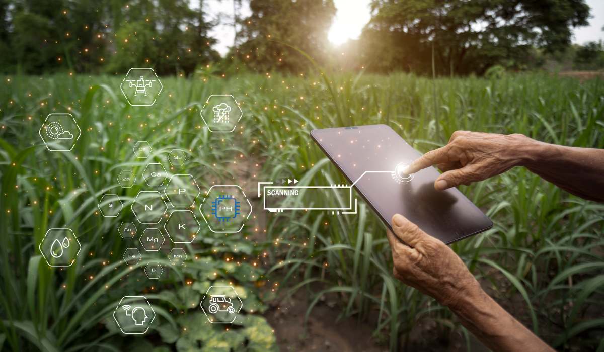 El uso de la inteligencia artificial divide: entre los beneficios y el impacto ambiental