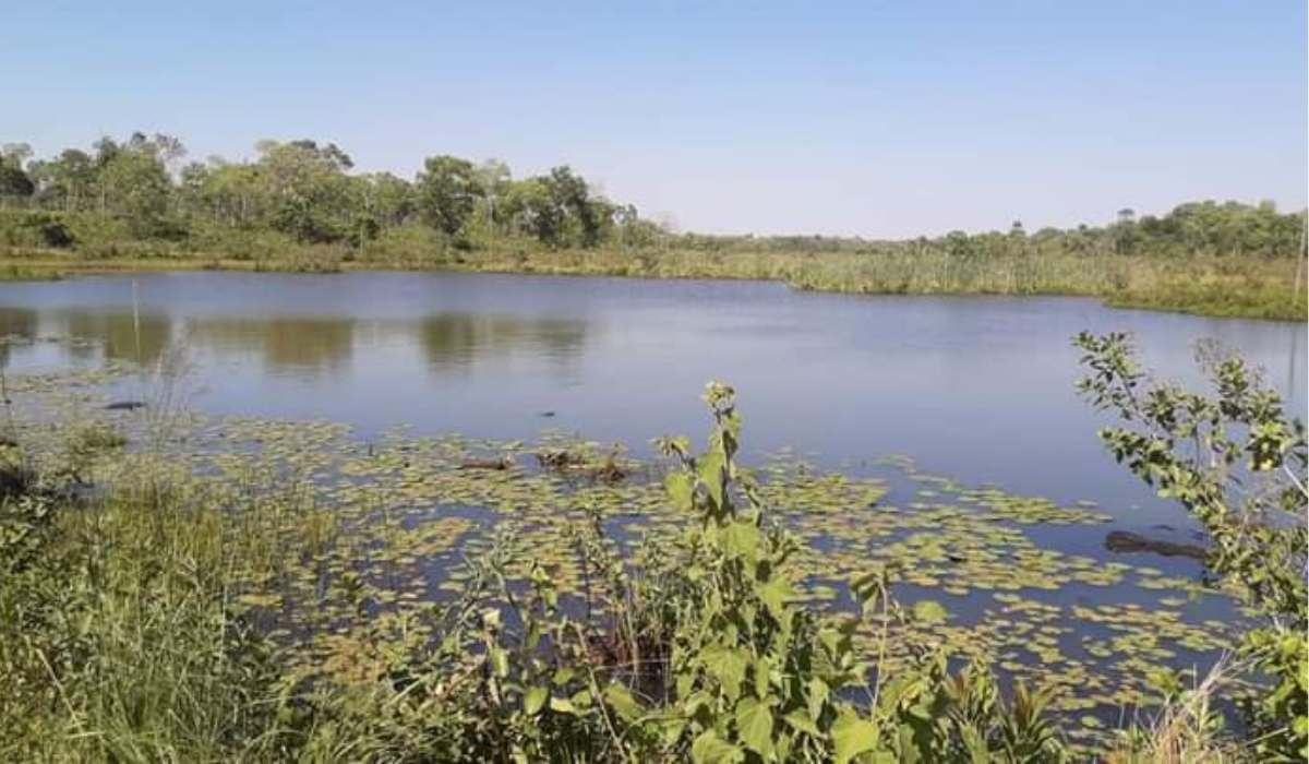 San Lorenzo, el río que respira bajo el cemento y que hoy puede hacer historia en la justicia ambiental