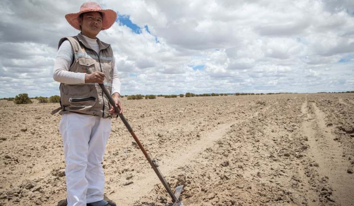 La tierra se degrada afectando la productividad agrícola y amenazando a 1.700 millones de personas