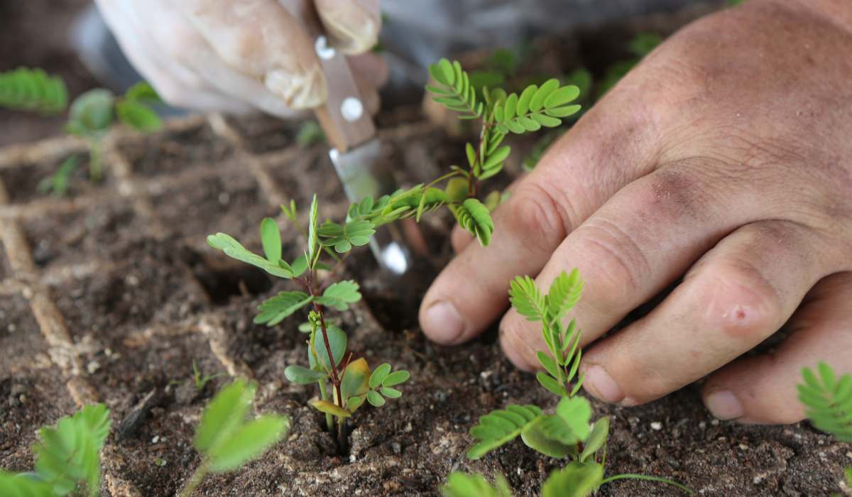 Realizan un mapeo para visibilizar y conectar a organizaciones agroecológicas