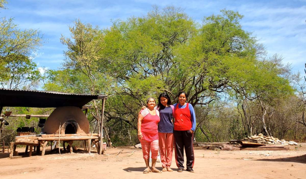 Algarrobo: el árbol que podría sostener el futuro del Chaco