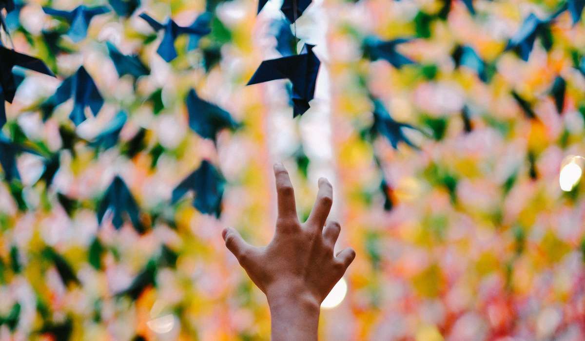 Libertad, censura y educación