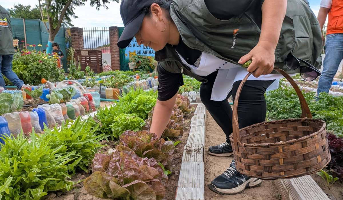 «MasterChej», una competencia para impulsar los huertos y la alimentación saludable