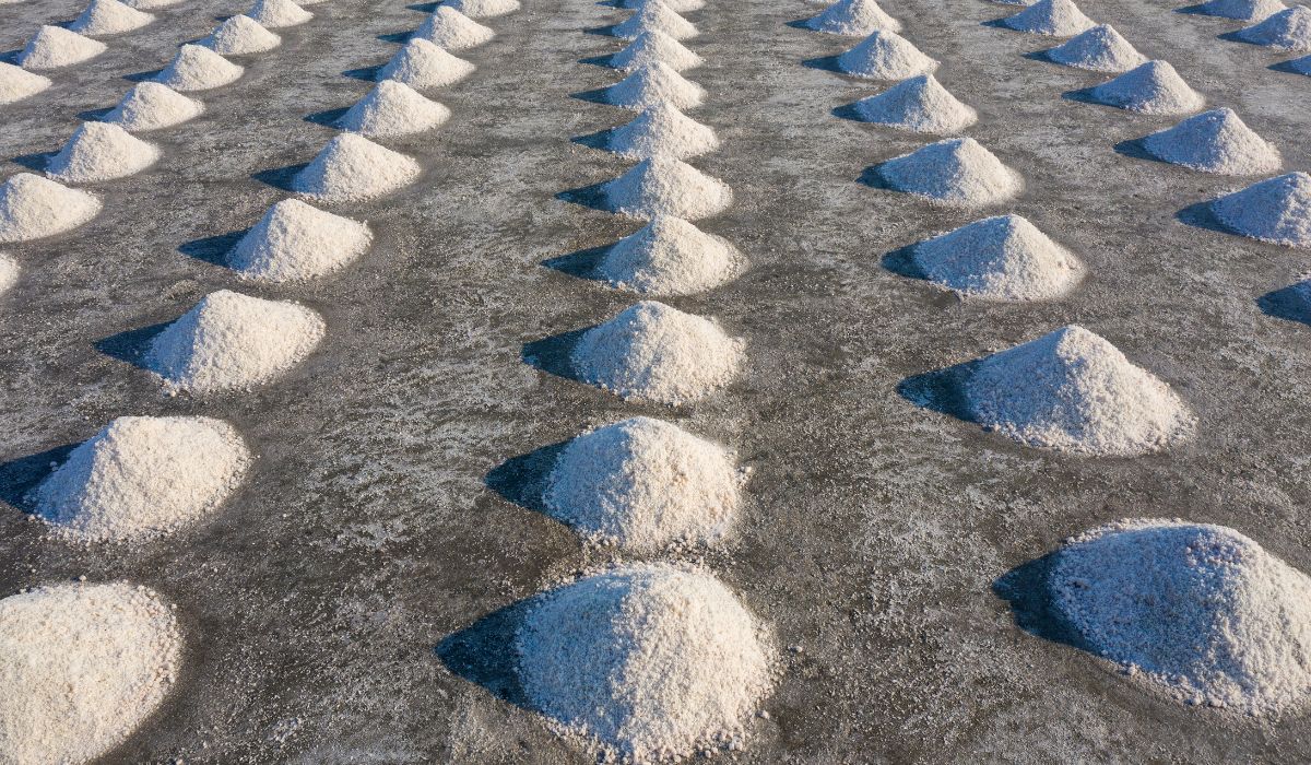 Sodio en vez de litio y lo circular en vez de lo lineal