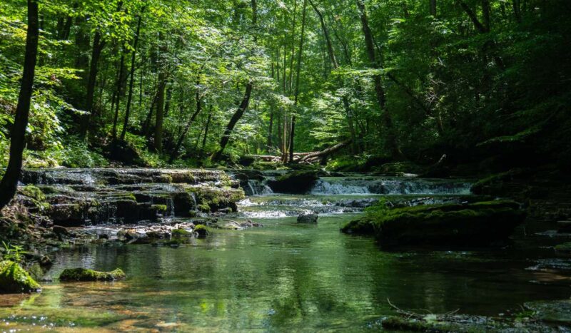 Por cada dólar destinado a proteger la naturaleza, se gastan 30 en destruirla