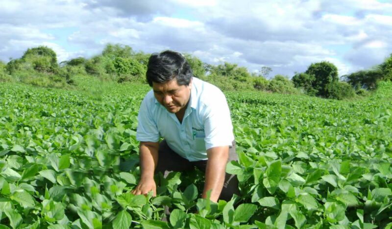 Vía Verde registra a 5.000 MiPymes y se concretan exportaciones sostenibles a la Unión Europea