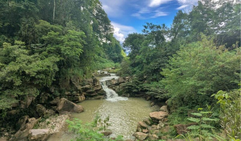Áreas protegidas bolivianas que sostienen el clima, el agua y las economías locales