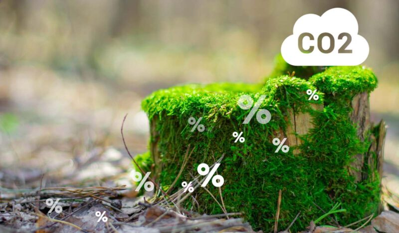 Bolivia abre un nuevo capítulo en mercados de carbono con el primer Bolivia Carbon Forum