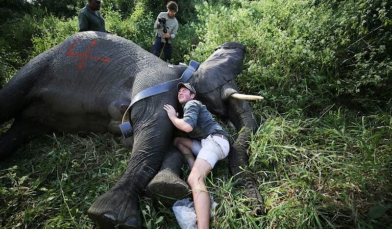 Fondo para el Medioambiente Mundial movilizará $us. 3.900 millones para avanzar hacia las metas en 2030