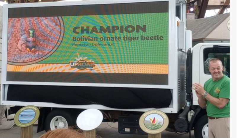 De “fantasma” a campeón mundial: el escarabajo tigre pone a Bolivia en el mapa global de la biodiversidad