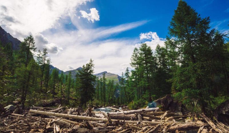 Día de la Tierra: la crisis exige cambiar hábitos y transformar los sistemas de producción