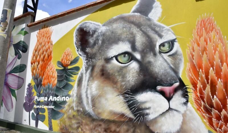 Bagó celebra sus 50 años en Bolivia con un mural que limpia el aire y visibiliza especies amenazadas